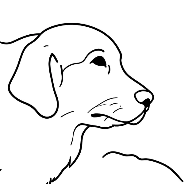 The retriever as a simple coloring page with a few thick outlines