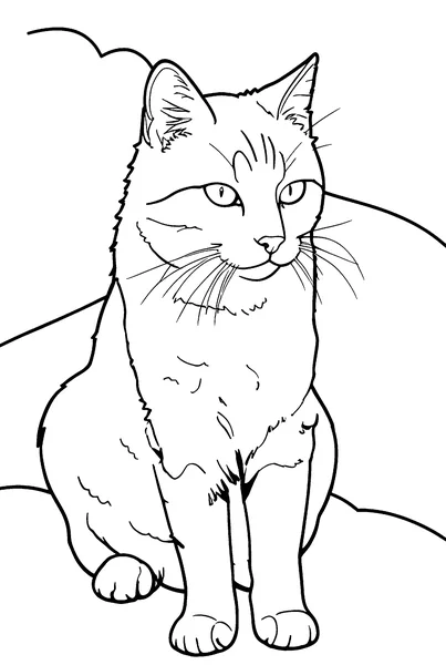 The cat as a coloring page